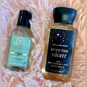 Bath and Body Works Shower Gel (travel size)